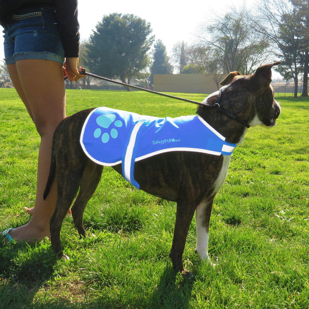 Reflective Dog Vest Hi-Vis L Size 31.63 in Chest x 23 in Neck Blue