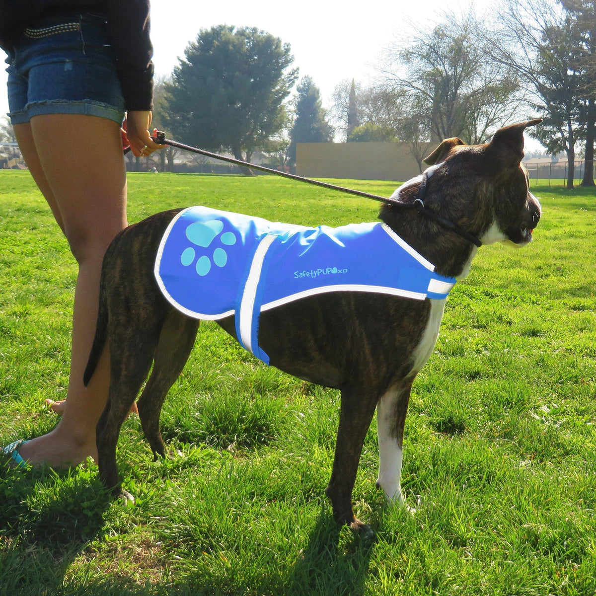 Reflective Dog Vest Hi-Vis L Size 31.63 in Chest x 23 in Neck Blue