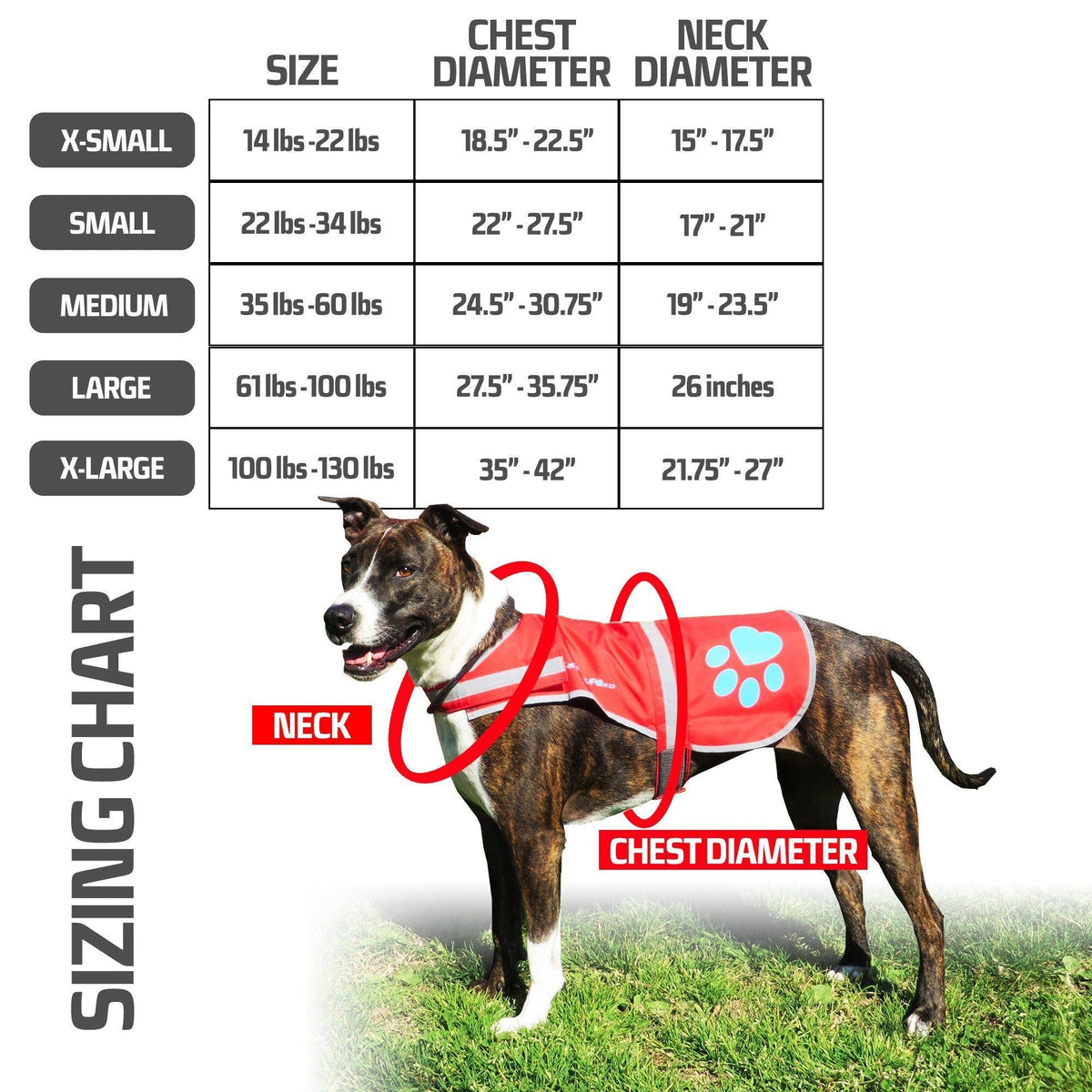 Reflective Dog Vest Hi-Vis L Size 31.63 in Chest x 23 in Neck Blue