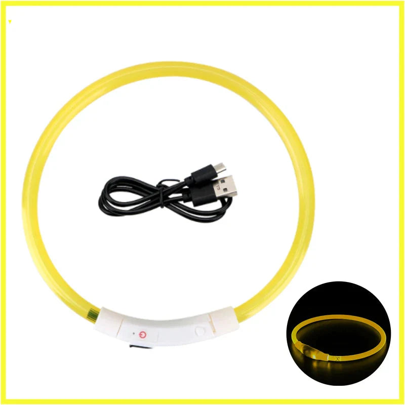 LED Pet Dog Collar for Night Safety | Bright USB Rechargeable